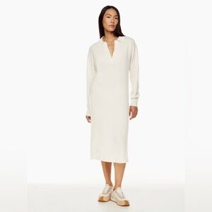 Aritzia The Group by Babaton Circuit Dress